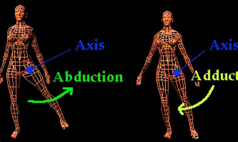 examples of abduction in sport|Abduction vs Adduction, Compared And Explained + 9 Exercises To Try.